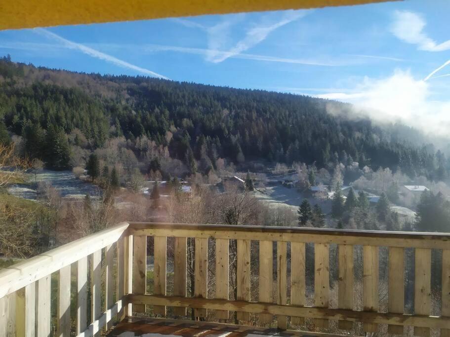 Maison De Montagne Vue Magnifique Вантрон Екстер'єр фото