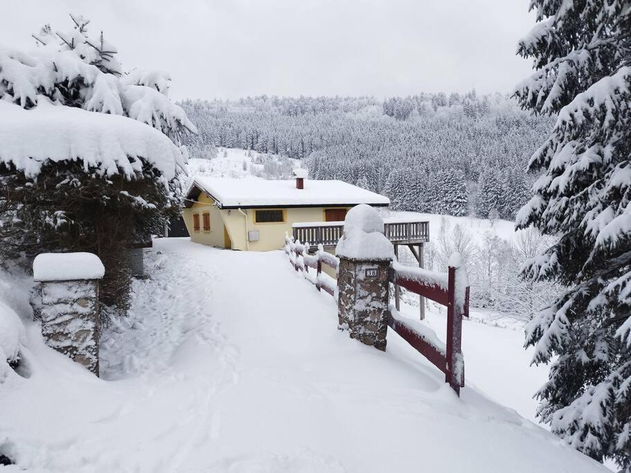 Maison De Montagne Vue Magnifique Вантрон Екстер'єр фото
