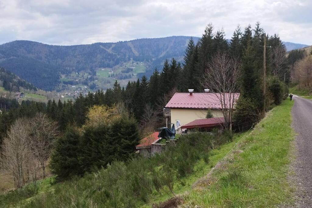 Maison De Montagne Vue Magnifique Вантрон Екстер'єр фото