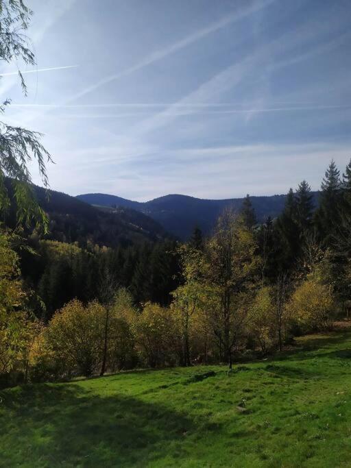 Maison De Montagne Vue Magnifique Вантрон Екстер'єр фото
