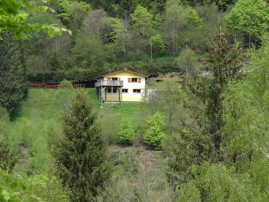Maison De Montagne Vue Magnifique Вантрон Екстер'єр фото
