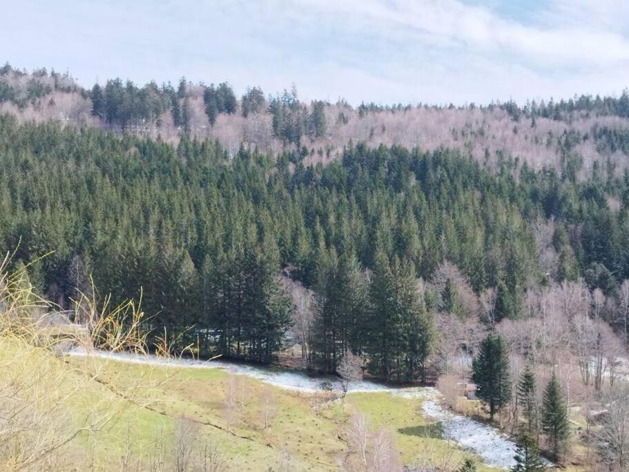 Maison De Montagne Vue Magnifique Вантрон Екстер'єр фото