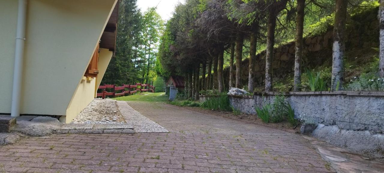 Maison De Montagne Vue Magnifique Вантрон Екстер'єр фото